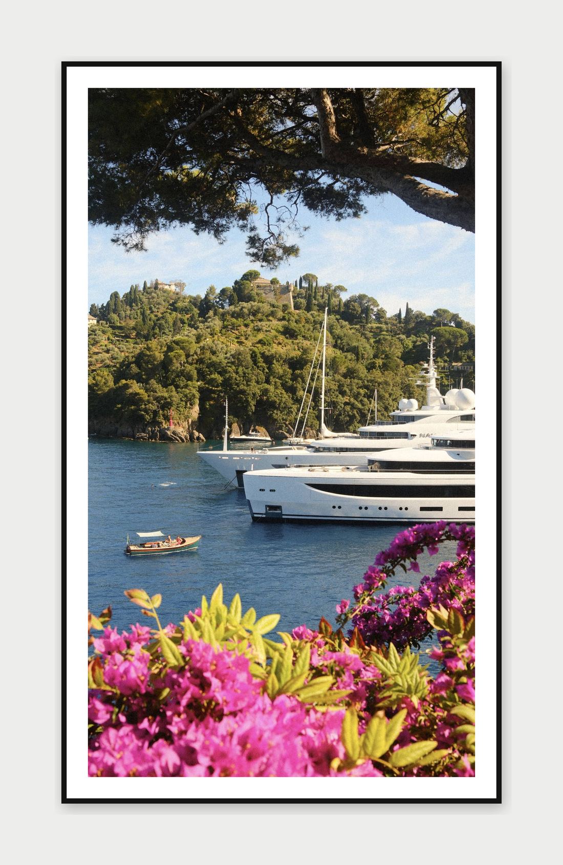 Framed print: yachts and bougainvillea overlooking the bay, Portofino, Italy